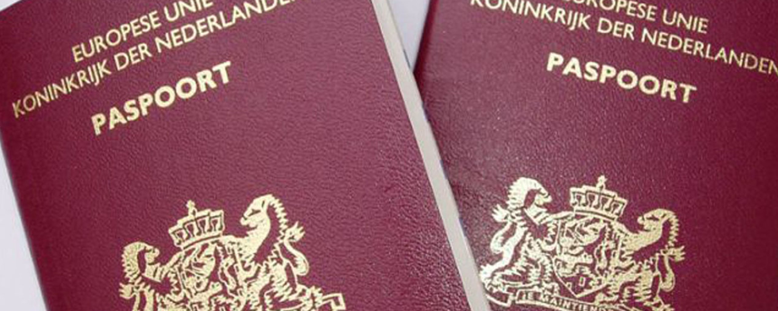 Agressief Onderstrepen Verheugen Paspoort | Gemeente Lingewaard